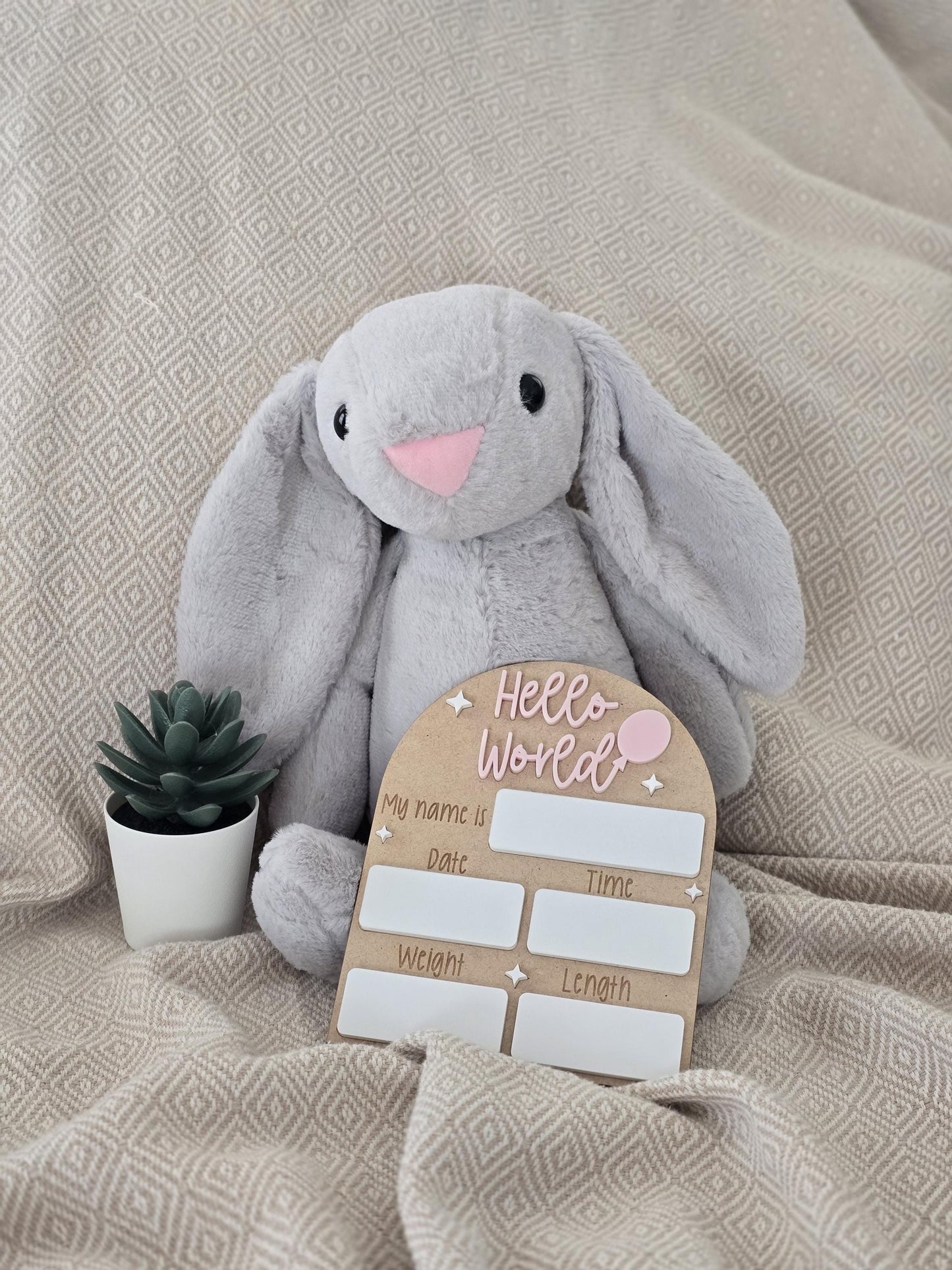Hello World Sign | Welcome to the World | Birth Announcement Sign | Birth Details Sign