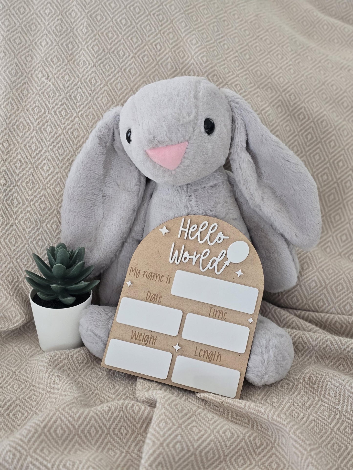 Hello World Sign | Welcome to the World | Birth Announcement Sign | Birth Details Sign